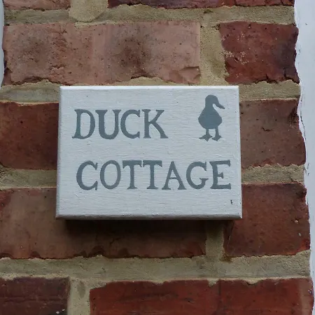 Duck Thirsk